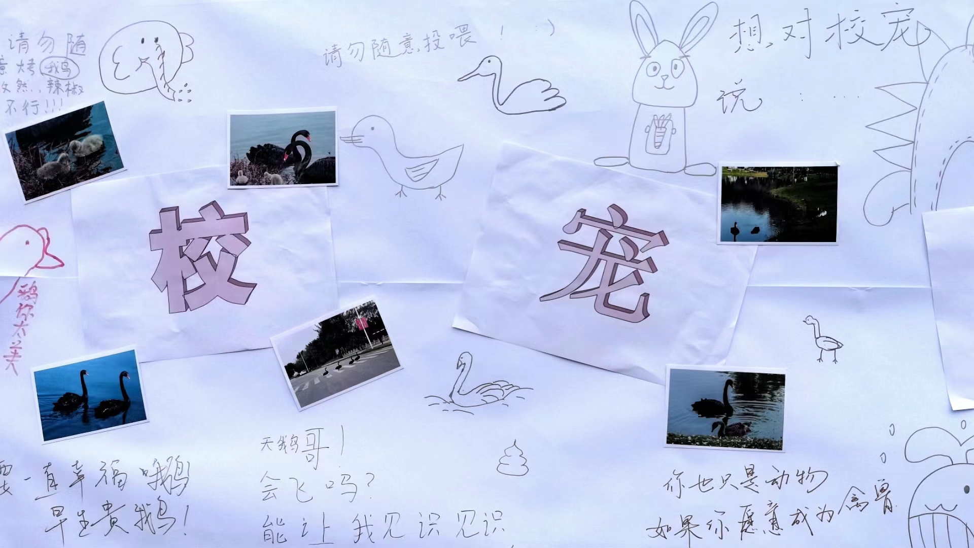 美狮贵宾会