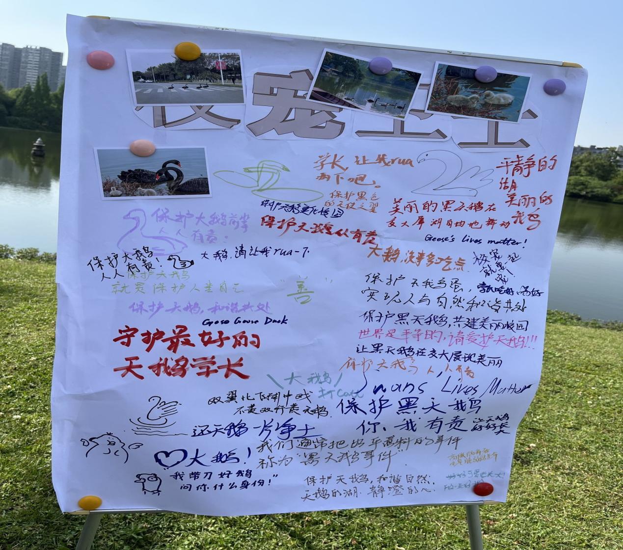 美狮贵宾会