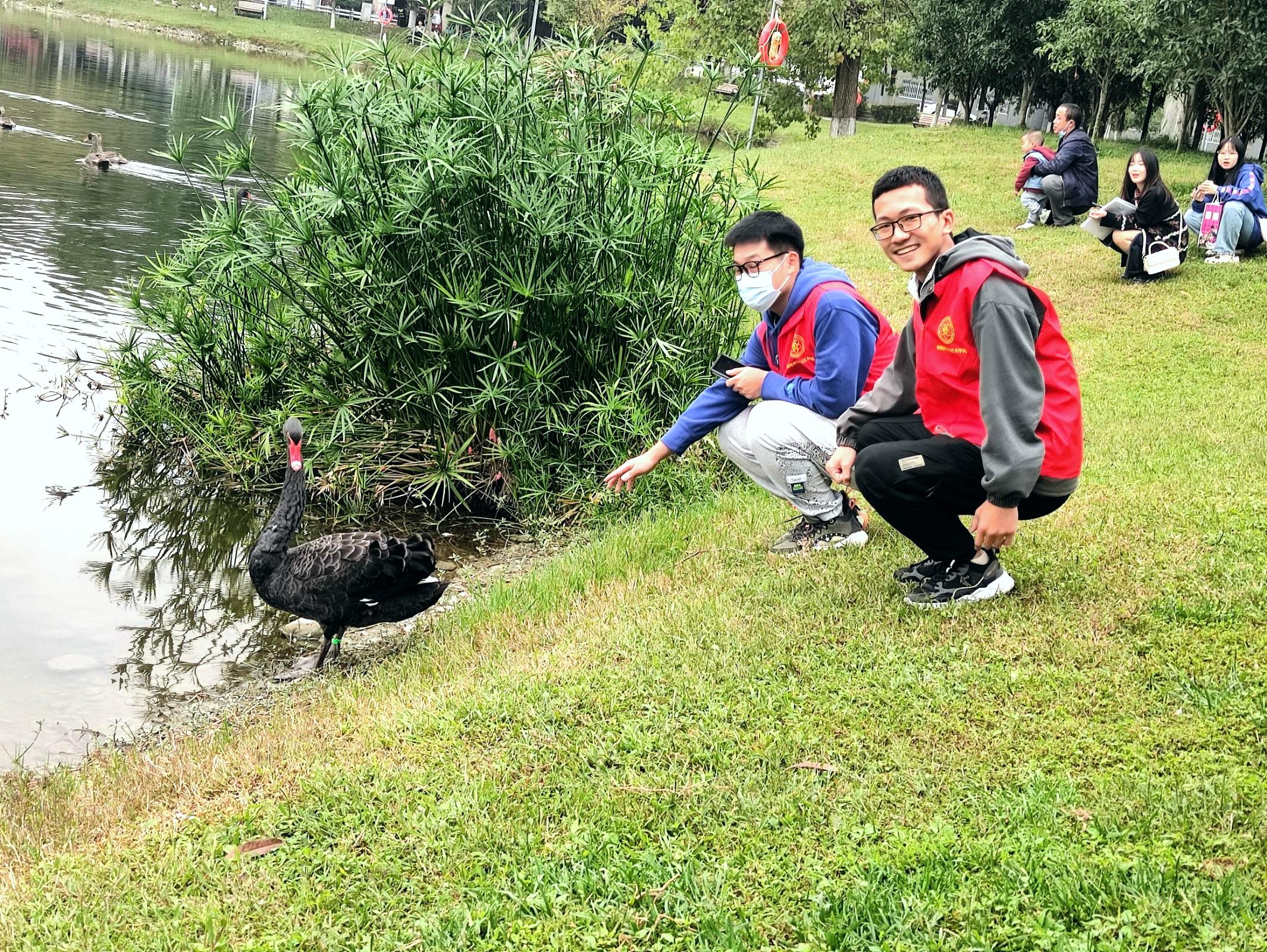 美狮贵宾会