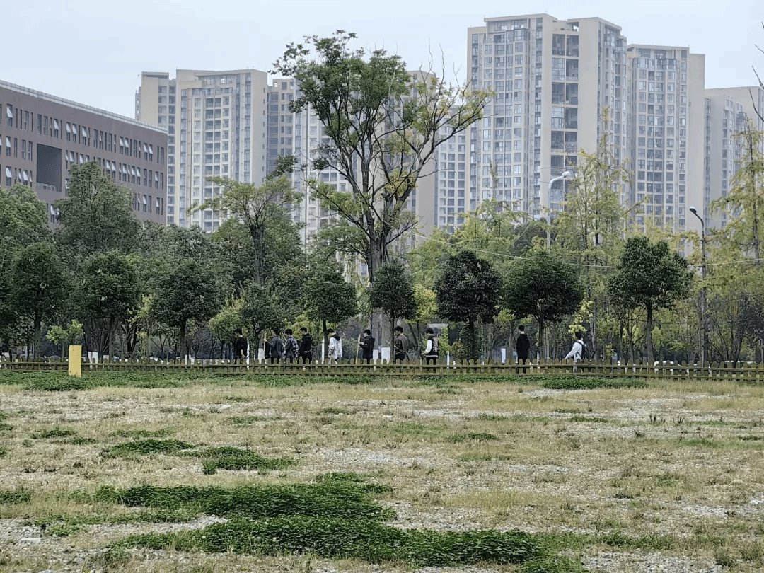 美狮贵宾会