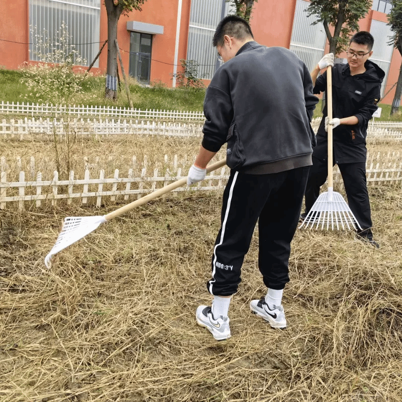 美狮贵宾会